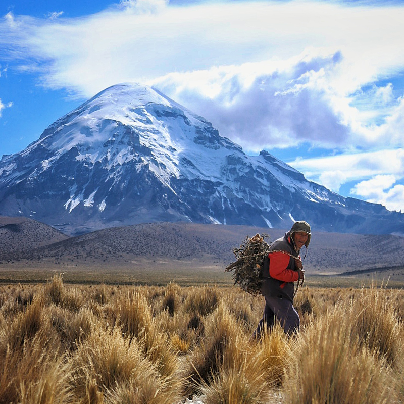 Sajama_community (1)
